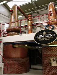 Glen Goyne Distillary. Apparently all Scotish distillaries have their own distinct still design and Glen Goyne's are pretty funky.