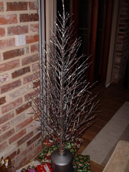 The very cool fibre-optic Christmas tree.