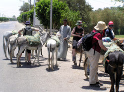 Kate, on the right in beige hat, prepares to board her donkey on the way to the Valley of the Kings.