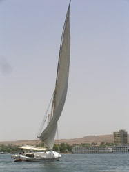 A felucca on the nile
