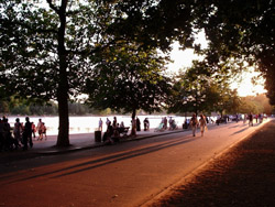Hyde Park at sunset, where we had a picnic dinner.