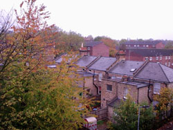 It's the end of autumn, and you can see the colours fading on the trees from our window.