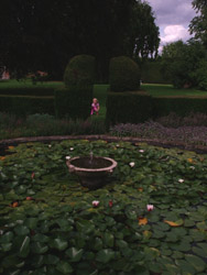 This child was playing hide-and-seek in the gardens of Melford Hall.