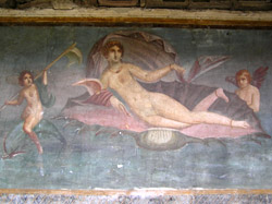 Another of Pompeii's amazing frescos. And these are the ones thath have been left in-situ with the truely magnificant ones being either souvineered or cut off walls to end up in museums around the world.