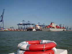 The Felixstowe docks were covered with tiny-looking freight containers.